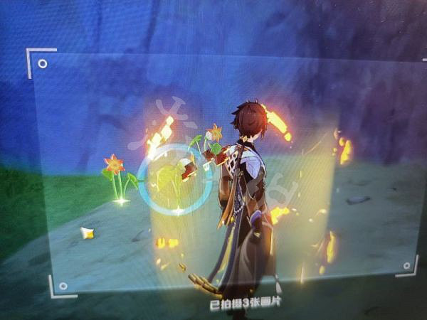 《原神》蒙德特產在哪？蒙德特產照片收集攻略分享