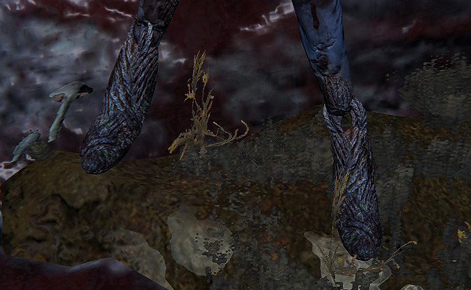 足控狂喜！《艾爾登法環》討論區角色足部指南分享