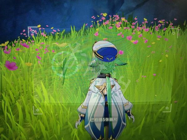 《原神》蒙德特產在哪？蒙德特產照片收集攻略分享