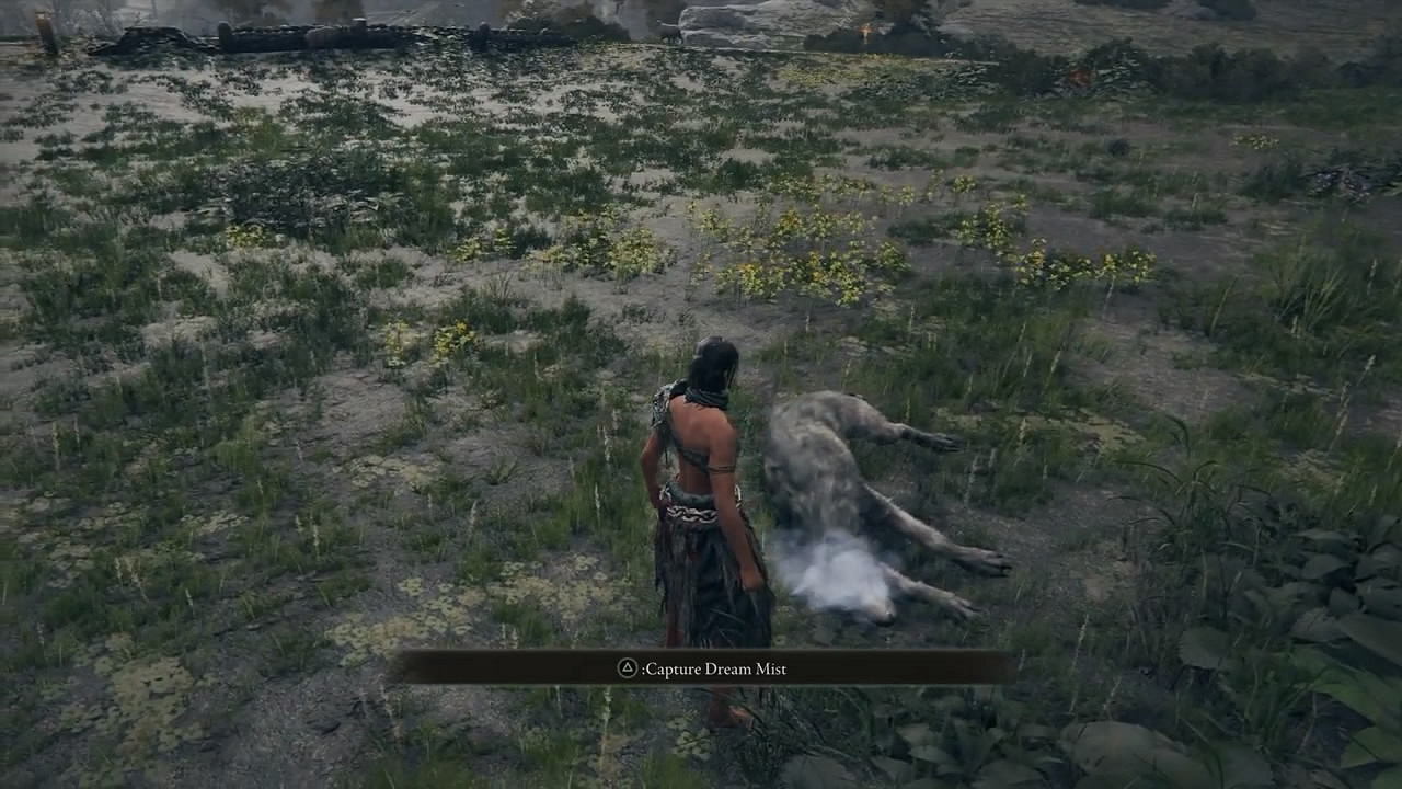 《艾爾登法環》夢境系統被刪除!可灌醉NPC發現其內心秘密 《艾爾登法環》夢境系統被刪除!可灌醉NPC發現其內心秘密