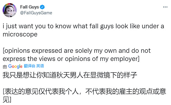 又來陰間設定！《糖豆人》其實有頭髮 顯微鏡下太滲人