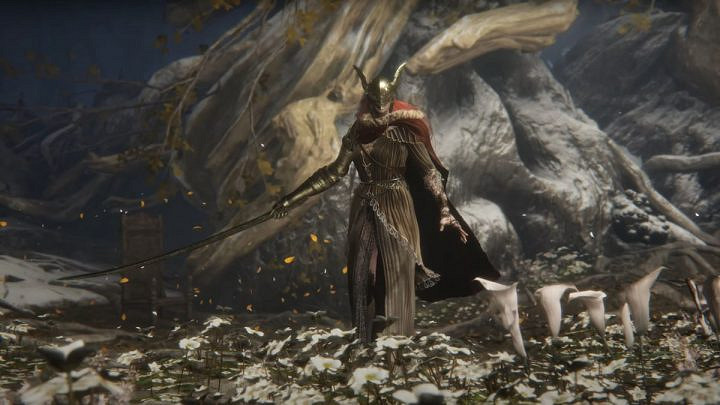 正義的使者《艾爾登法環》壺頭哥 專幫玩家單挑女武神 正義的使者《艾爾登法環》壺頭哥 專幫玩家單挑女武神