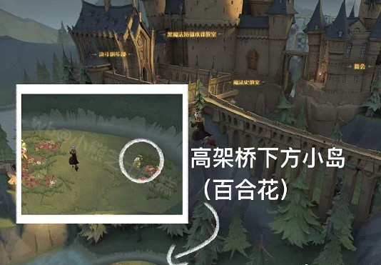 《哈利波特》4月14日彩蛋在哪 今日彩蛋位置分享 《哈利波特》4月14日彩蛋在哪 今日彩蛋位置分享