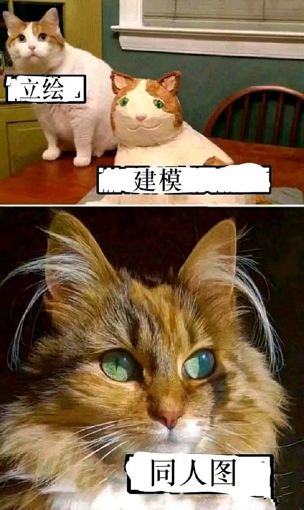 放心去吧你老婆我幫你養 囧圖 老了以後必備坐騎