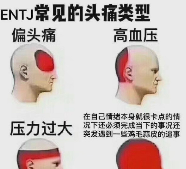 來自一個世紀前的MBTI測試,刷了我一個月的屏 來自一個世紀前的MBTI測試,刷了我一個月的屏