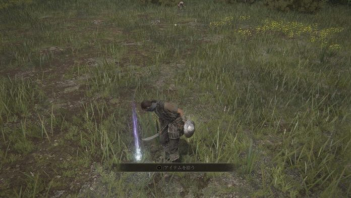 《艾爾登法環》驚現胖次經銷商！菲雅的小褲褲別亂撿