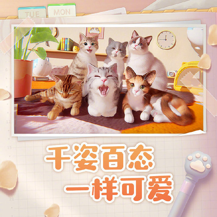 與貓咪的治愈生活！西山居公布養貓手遊《我和我的貓》