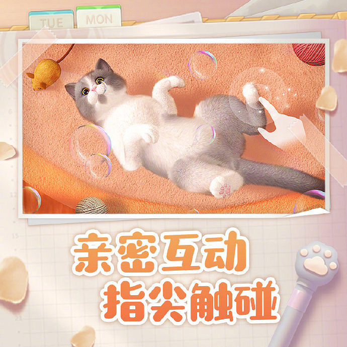 與貓咪的治愈生活！西山居公布養貓手遊《我和我的貓》