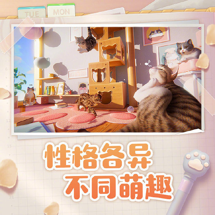 與貓咪的治愈生活！西山居公布養貓手遊《我和我的貓》