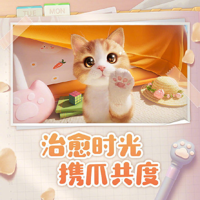 與貓咪的治愈生活！西山居公布養貓手遊《我和我的貓》