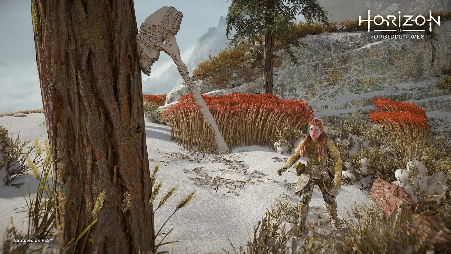 你找齊了嗎？《地平線2：西域禁地》戰神4彩蛋揭露！