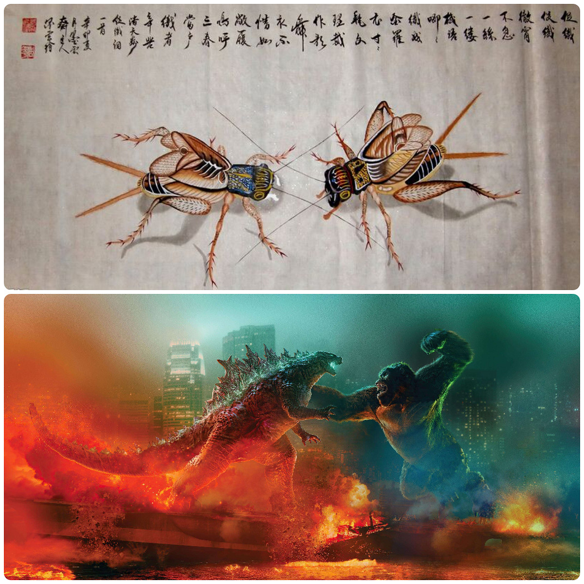 新鮮出爐的“鬥獸模擬器”和它背後的“鬥獸情結” 新鮮出爐的“鬥獸模擬器”和它背後的“鬥獸情結”