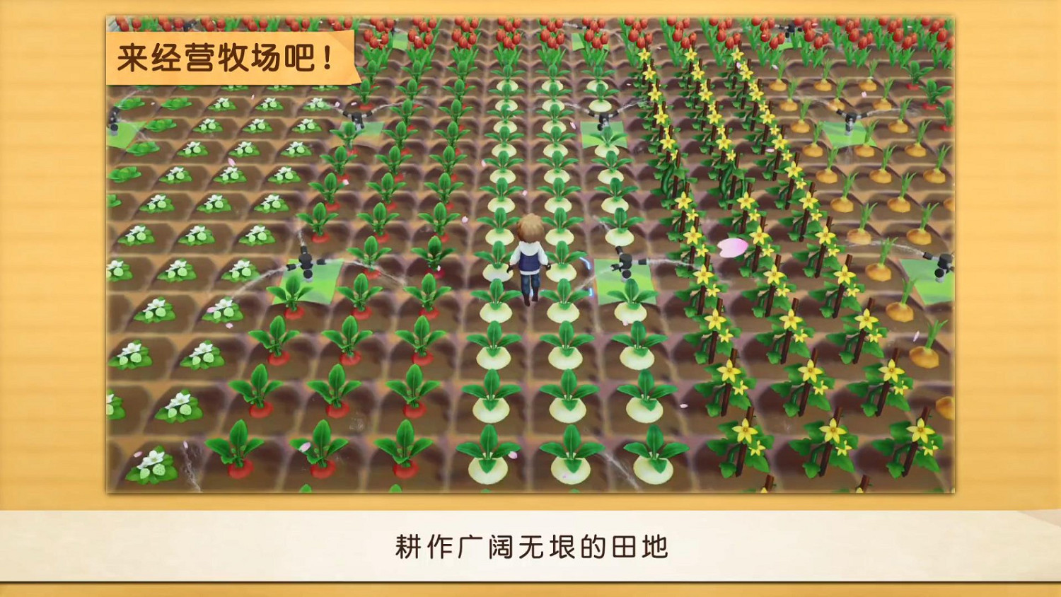 《牧場物語:橄欖鎮與希望的大地》PS4版中文宣傳片 7月28日發售 《牧場物語:橄欖鎮與希望的大地》PS4版中文宣傳片 7月28日發售