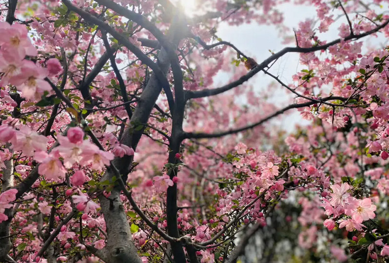 被“封殺”的劇本殺,被“免進”的未成年 被“封殺”的劇本殺,被“免進”的未成年