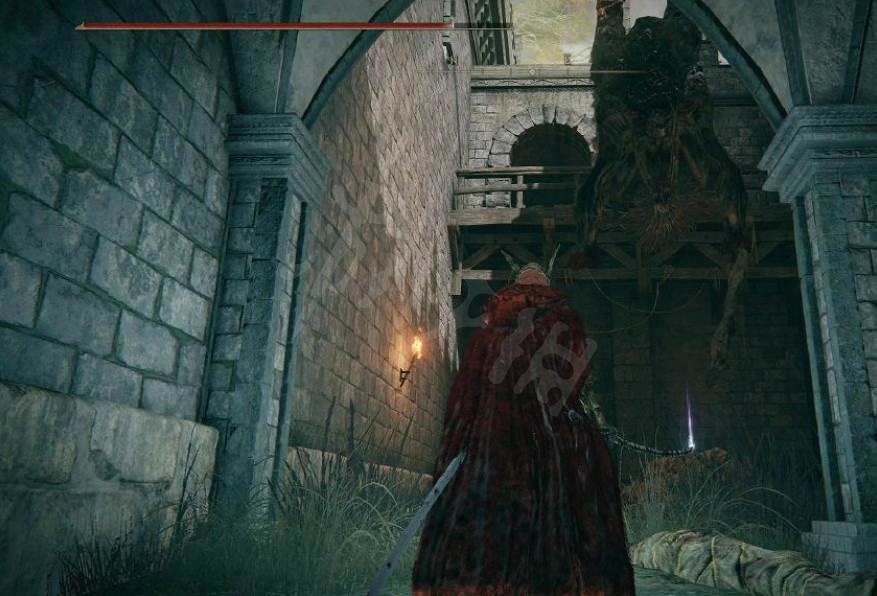 《艾爾登法環》蛹群的遺物在哪?蛹群的遺物位置 《艾爾登法環》蛹群的遺物在哪?蛹群的遺物位置