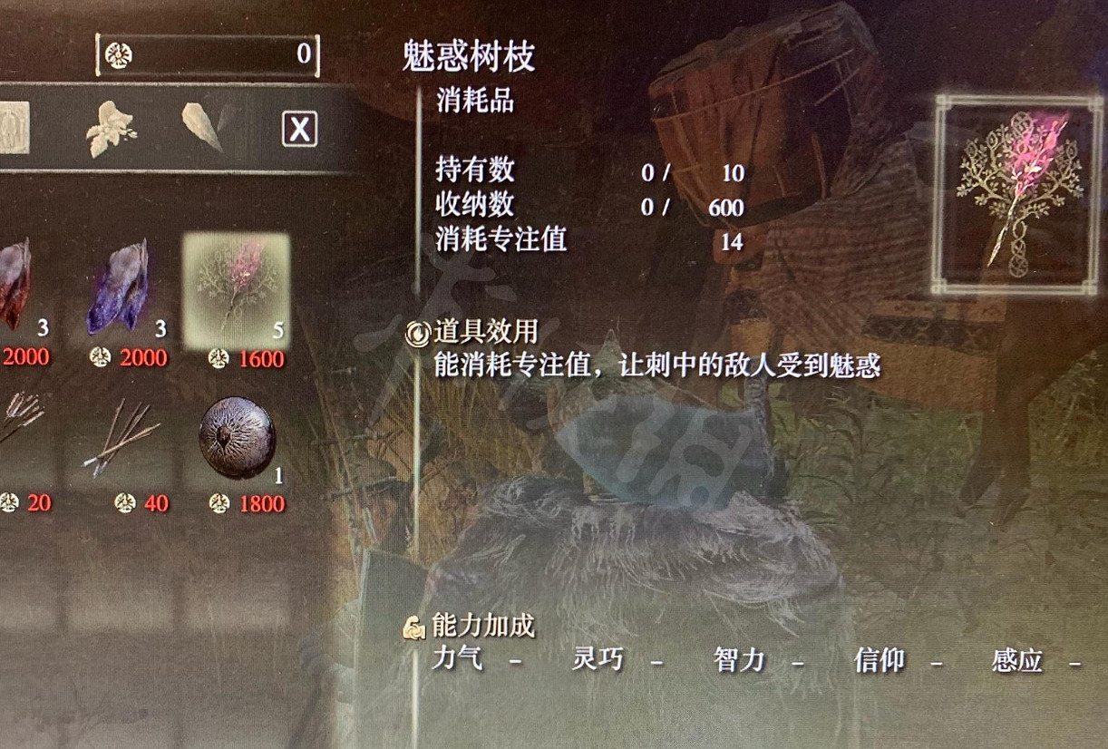 《艾爾登法環》魅惑樹枝怎麽獲得?魅惑樹枝獲得方法 《艾爾登法環》魅惑樹枝怎麽獲得?魅惑樹枝獲得方法