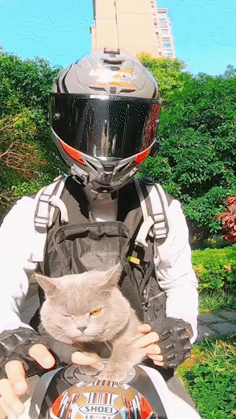 與天降少女來了個肉體碰撞 動圖 人過五十依舊愛搞顏色 與天降少女來了個肉體碰撞 動圖 人過五十依舊愛搞顏色