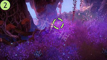 《失落的方舟》幻影之翼島如何探索?幻影之翼島任務攻略分享 《失落的方舟》幻影之翼島如何探索?幻影之翼島任務攻略分享