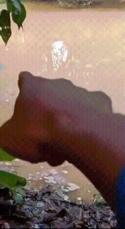 與天降少女來了個肉體碰撞 動圖 人過五十依舊愛搞顏色 與天降少女來了個肉體碰撞 動圖 人過五十依舊愛搞顏色