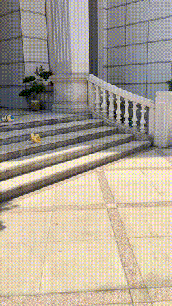 與天降少女來了個肉體碰撞 動圖 人過五十依舊愛搞顏色 與天降少女來了個肉體碰撞 動圖 人過五十依舊愛搞顏色