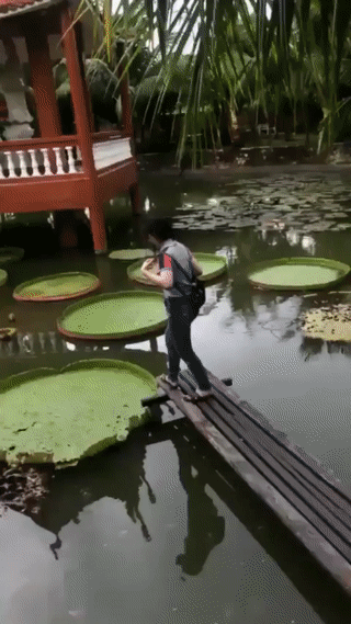 與天降少女來了個肉體碰撞 動圖 人過五十依舊愛搞顏色 與天降少女來了個肉體碰撞 動圖 人過五十依舊愛搞顏色