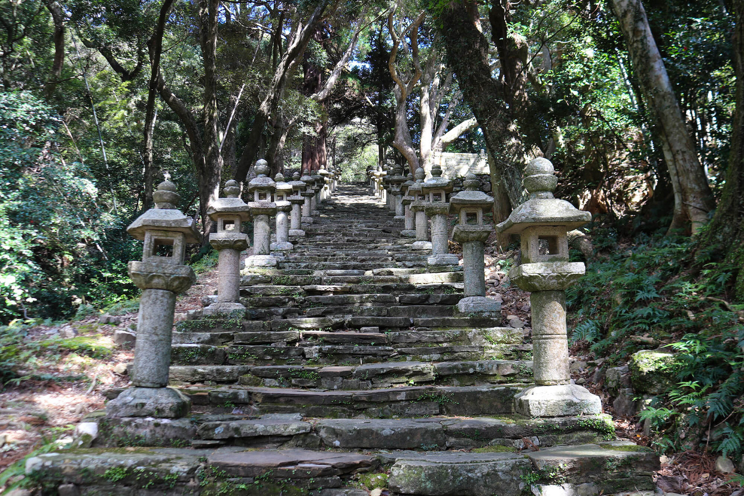 遊戲帶動旅遊業！對馬島開售《對馬島之魂》周邊紀念品