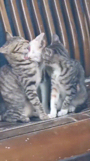 與天降少女來了個肉體碰撞 動圖 人過五十依舊愛搞顏色 與天降少女來了個肉體碰撞 動圖 人過五十依舊愛搞顏色