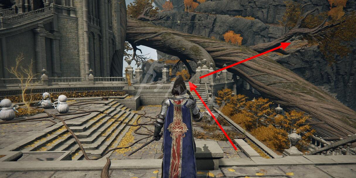 《艾爾登法環》鬥士大斧掉落位置分享 鬥士大斧怎麽獲得? 《艾爾登法環》鬥士大斧掉落位置分享 鬥士大斧怎麽獲得?