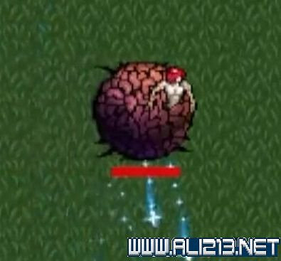 《吸血鬼倖存者》新手教學圖文全介紹 新手怎麽入門？