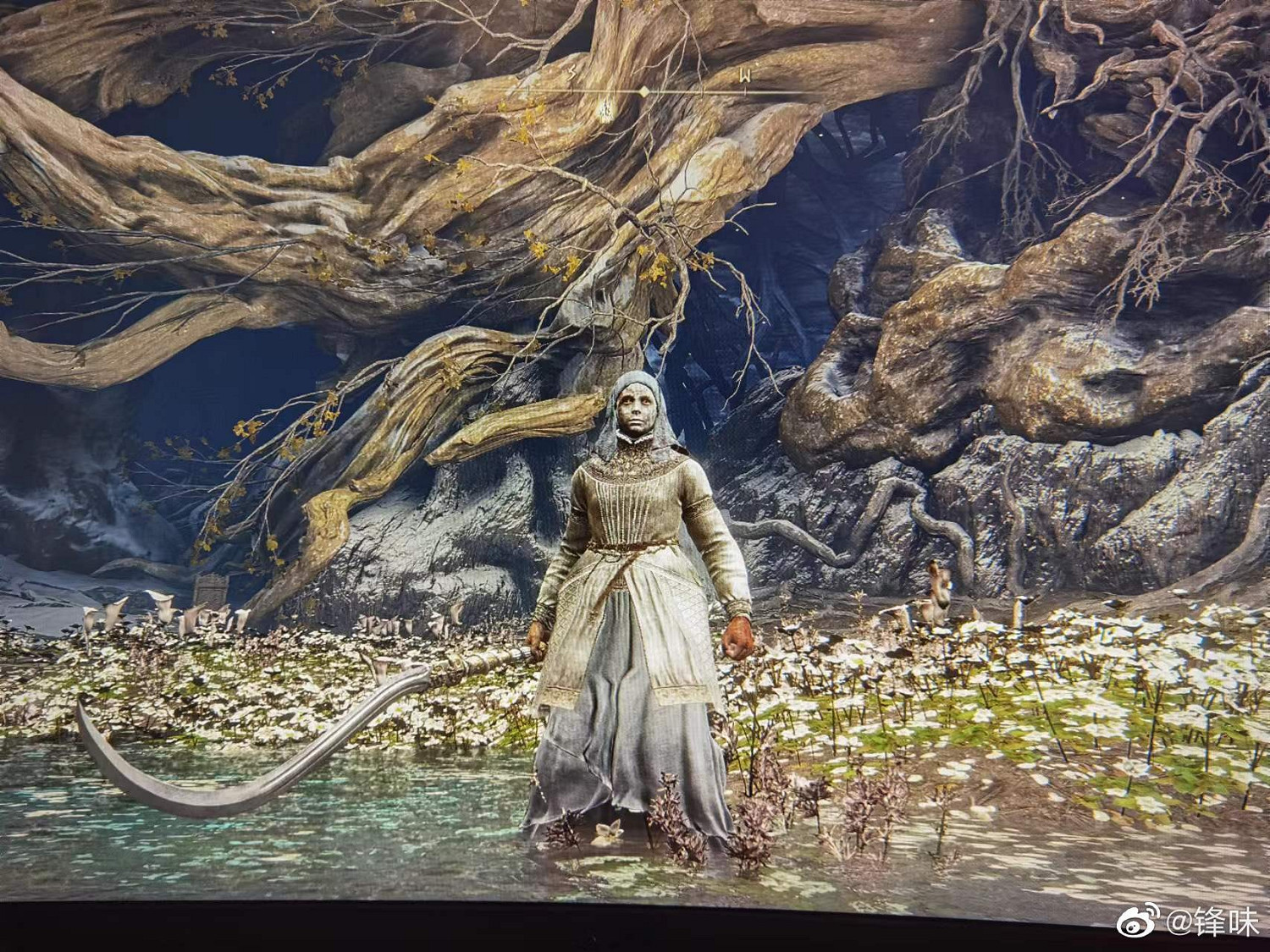 謝霆鋒再發《艾爾登法環》屏攝圖！萬代：謝謝老板發自拍！