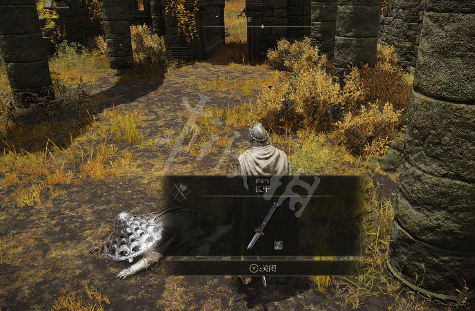 《艾爾登法環》長牙在哪裡哪?長牙位置及獲得方法 《艾爾登法環》長牙在哪裡哪?長牙位置及獲得方法