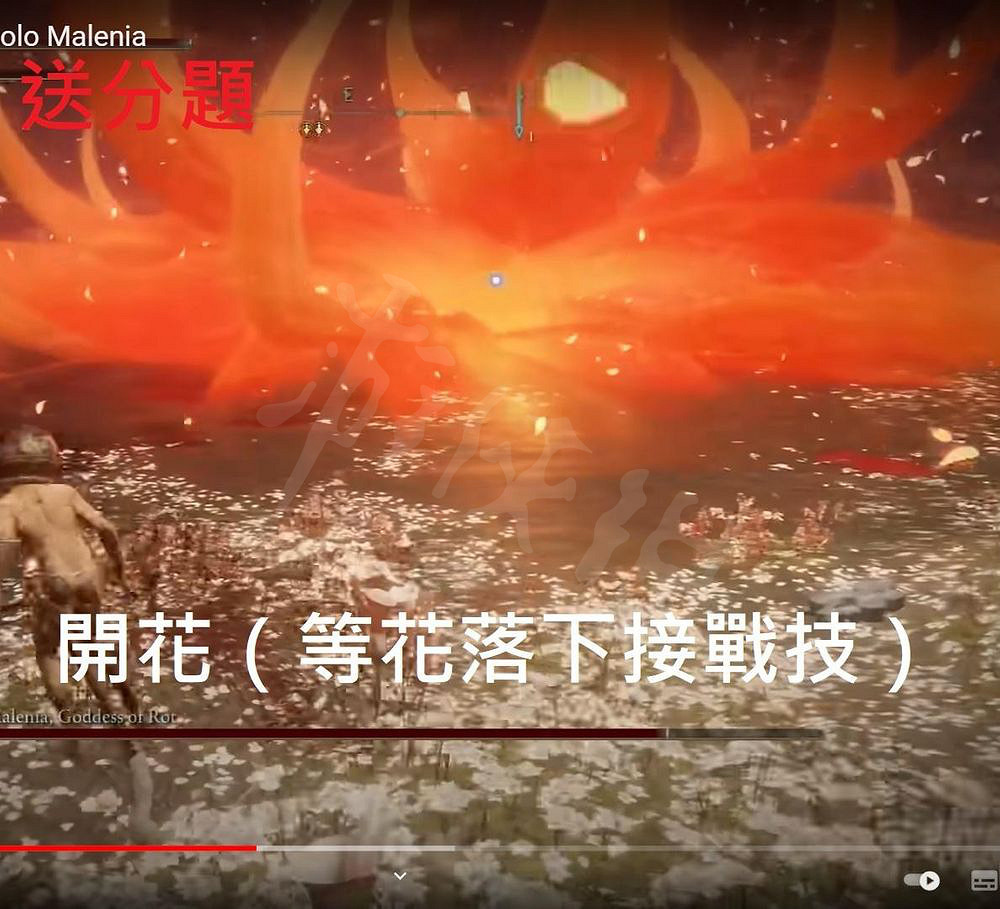 《艾爾登法環》女武神怎麽過 女武神拚刀打法教學 《艾爾登法環》女武神怎麽過 女武神拚刀打法教學