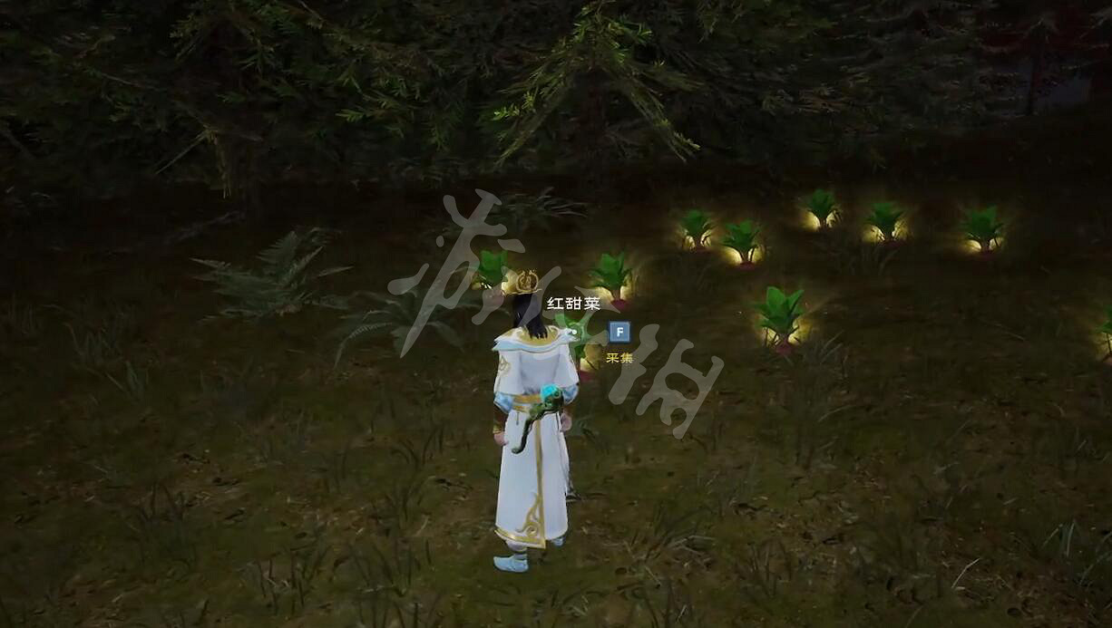 《太荒初境》紅甜菜怎麽獲得 紅甜菜獲得方法 《太荒初境》紅甜菜怎麽獲得 紅甜菜獲得方法