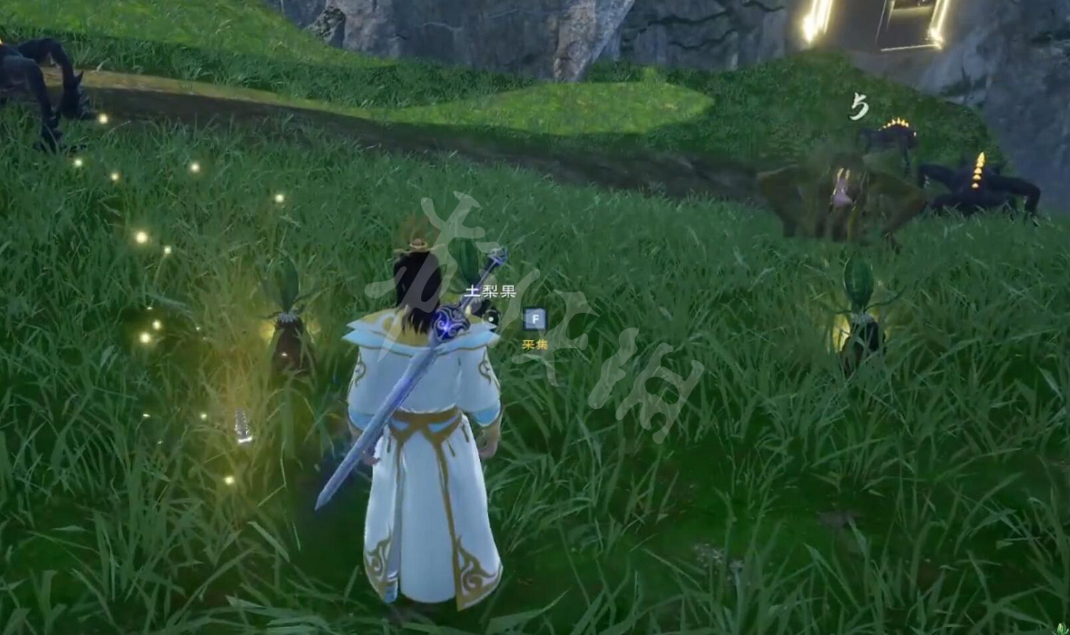 《太荒初境》土梨果怎麽獲得 土梨果獲得方法