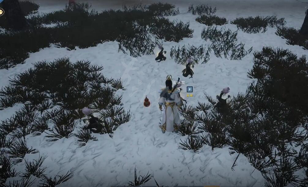 《太荒初境》玄冰花在哪 玄冰花位置介紹 《太荒初境》玄冰花在哪 玄冰花位置介紹