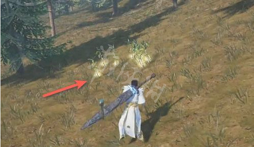 《太荒初境》甘蔗在哪？甘蔗位置介紹