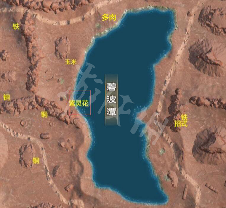 《太荒初境》紫靈花在哪 紫靈花採集地點介紹 《太荒初境》紫靈花在哪 紫靈花採集地點介紹