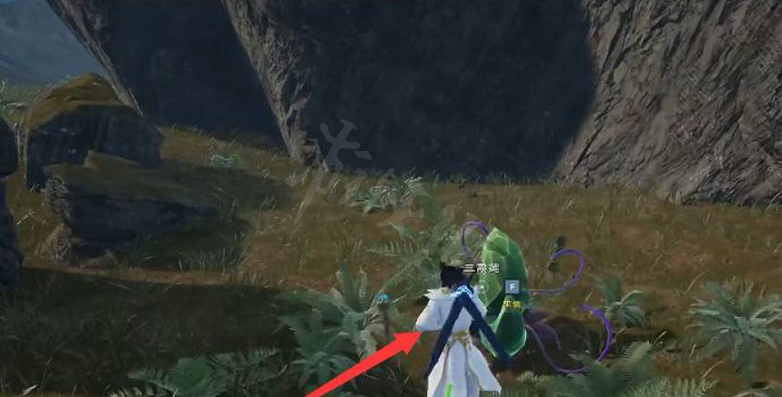 《太荒初境》三霞蓮在哪裡？三霞蓮採集位置