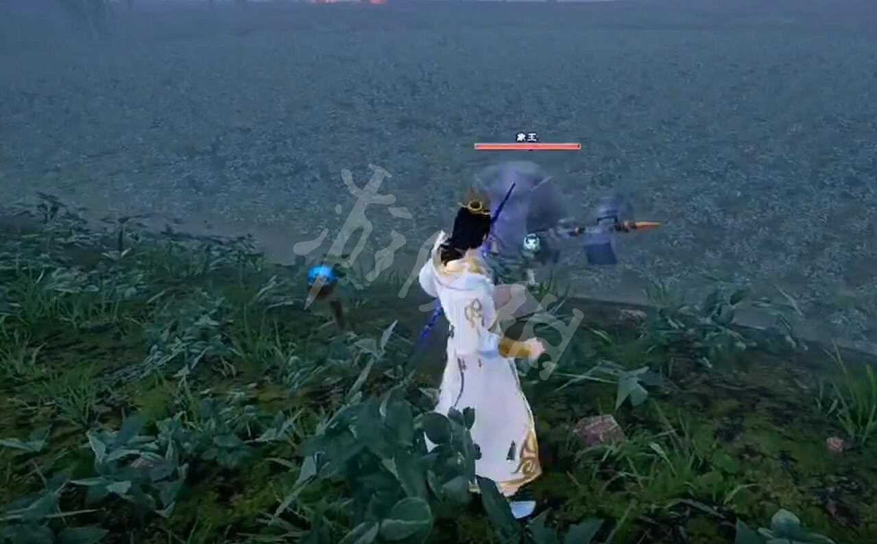 《太荒初境》象王位置 Boss象王在哪