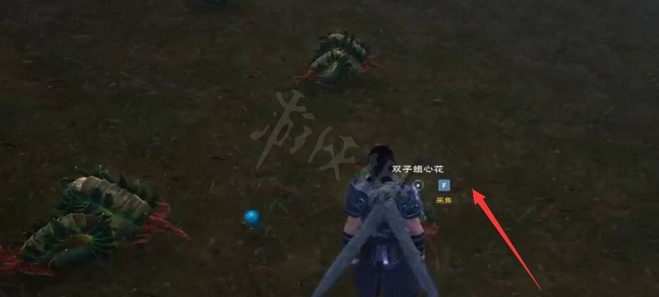 《太荒初境》雙子蛆心花在哪裡?雙子蛆心花採集位置 《太荒初境》雙子蛆心花在哪裡?雙子蛆心花採集位置