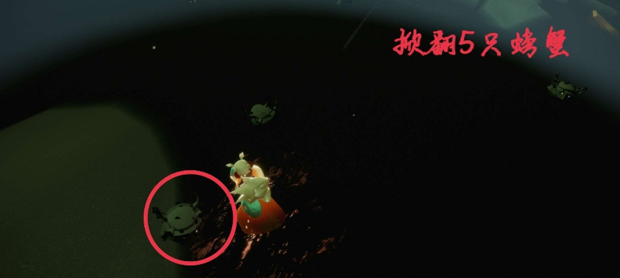 《光遇》每日任務5.6 5月6日任務怎麽做