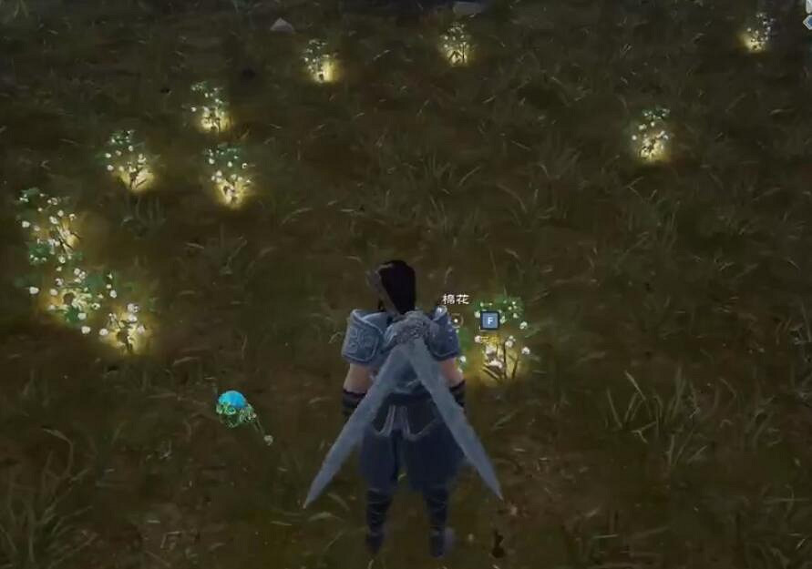 《太荒初境》亞麻在哪?棉花和亞麻位置及種法介紹 《太荒初境》亞麻在哪?棉花和亞麻位置及種法介紹