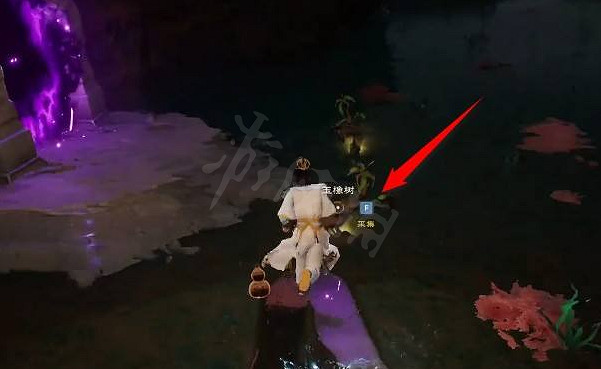 《太荒初境》玉橡樹在哪裡？玉橡樹採集位置