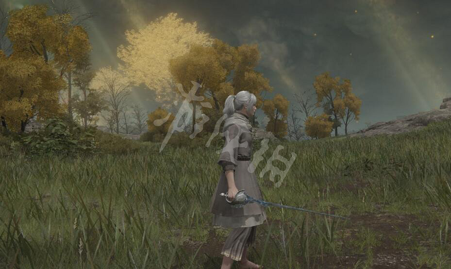 《艾爾登法環》結冰針在哪裡刷?結冰針位置介紹 《艾爾登法環》結冰針在哪裡刷?結冰針位置介紹