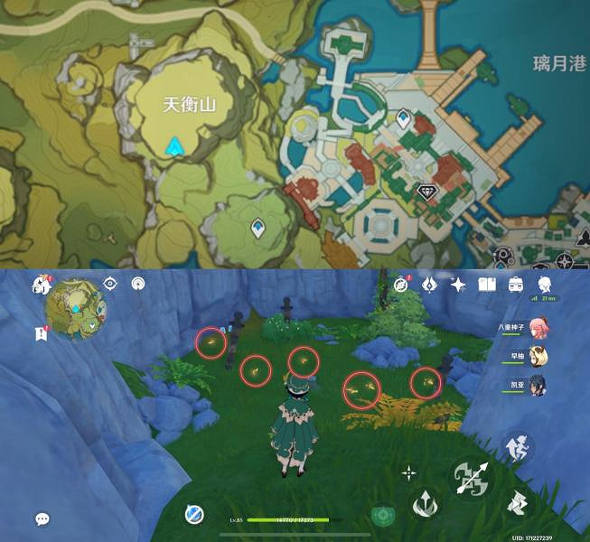 《原神》晶蝶聚集地在哪？晶蝶密集點位分享