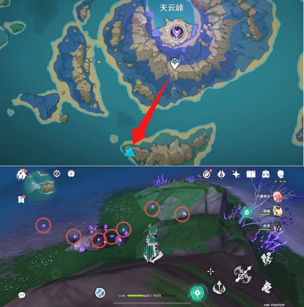 《原神》晶蝶聚集地在哪？晶蝶密集點位分享