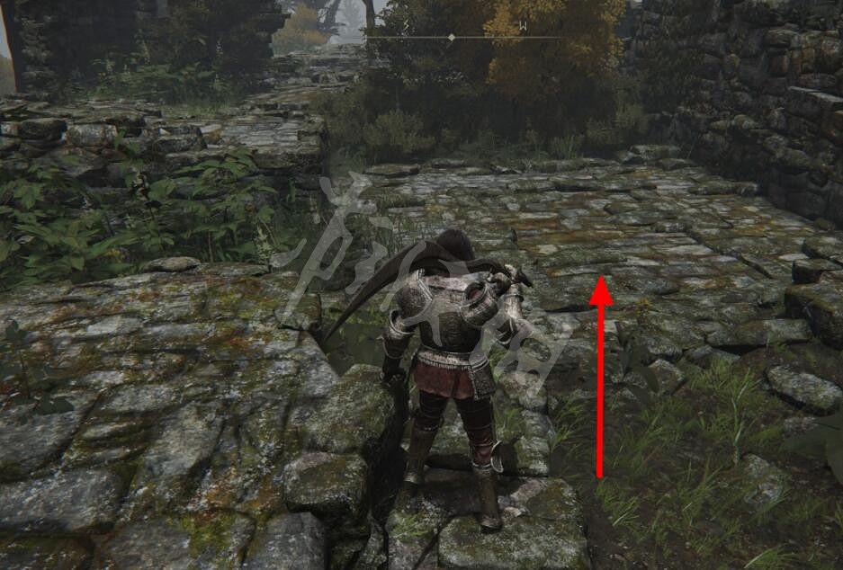 《艾爾登法環》結冰針在哪裡刷?結冰針位置介紹 《艾爾登法環》結冰針在哪裡刷?結冰針位置介紹