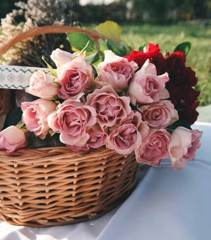 任天堂：母親節和媽媽一起砸電視 哦不一起玩NS運動吧