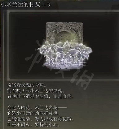 《艾爾登法環》小米蘭達的骨灰在哪裡?小米蘭達的骨灰獲得方法 《艾爾登法環》小米蘭達的骨灰在哪裡?小米蘭達的骨灰獲得方法