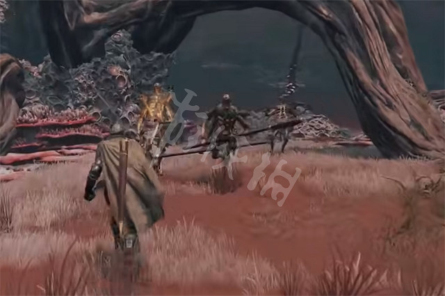 《艾爾登法環》棘刺棍怎麽獲得 棘刺棍獲得方法 《艾爾登法環》棘刺棍怎麽獲得 棘刺棍獲得方法